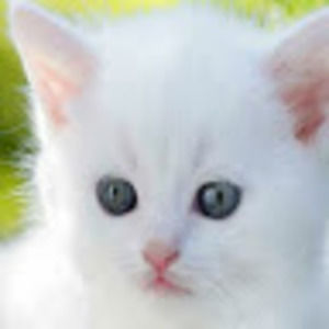 Meet your Posher, Esperanza